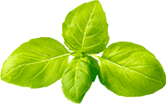 test-Pauls takeaway Leaf
