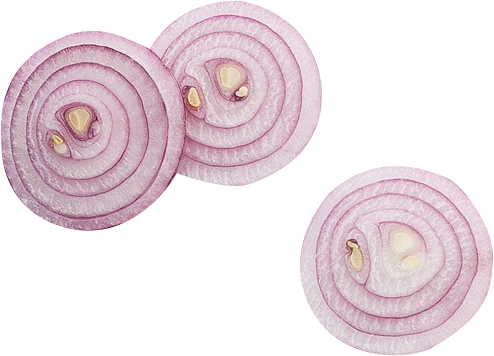Sip and Bite onion