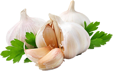 Pomodoro Garlic Bread